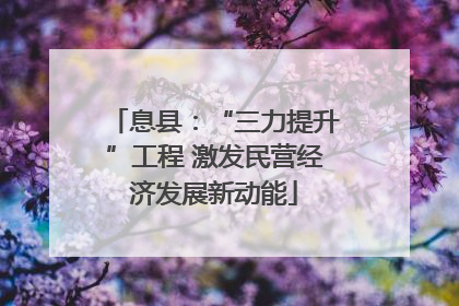 息县：“三力提升”工程 激发民营经济发展新动能