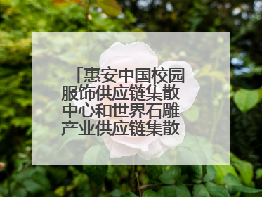 惠安中国校园服饰供应链集散中心和世界石雕产业供应链集散中心正式揭牌