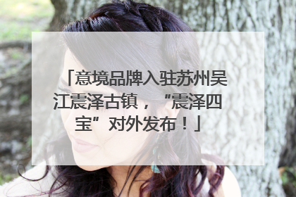 意境品牌入驻苏州吴江震泽古镇，“震泽四宝”对外发布！