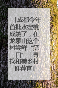 成都今年首批水蜜桃成熟了，在龙泉山这个村尝鲜“第一口”｜寻找和美乡村推荐官