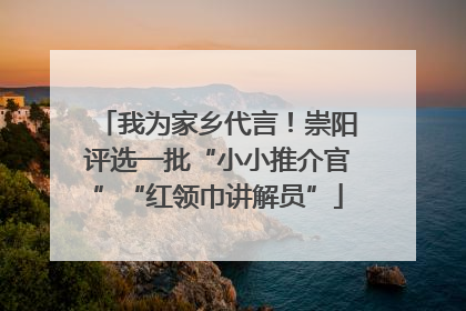 我为家乡代言！崇阳评选一批“小小推介官”“红领巾讲解员”