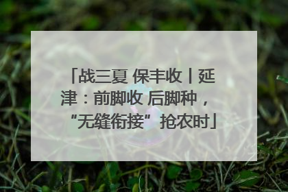战三夏 保丰收丨延津：前脚收 后脚种，“无缝衔接”抢农时