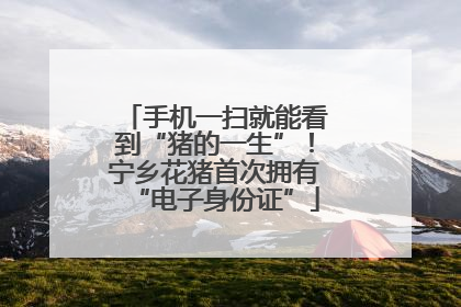 手机一扫就能看到“猪的一生”！宁乡花猪首次拥有“电子身份证”