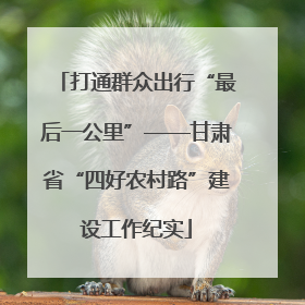 打通群众出行“最后一公里”——甘肃省“四好农村路”建设工作纪实