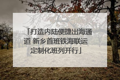 打造内陆便捷出海通道 新乡首班铁海联运定制化班列开行