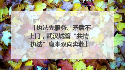 执法先服务、矛盾不上门，武汉城管“共情执法”赢来双向奔赴