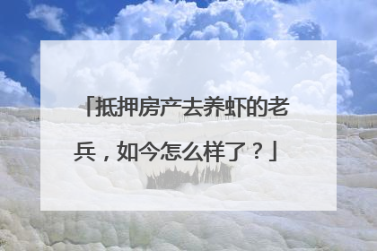 抵押房产去养虾的老兵，如今怎么样了？