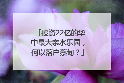 投资22亿的华中最大亲水乐园，何以落户蔡甸？