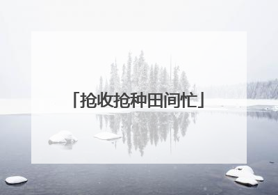 抢收抢种田间忙