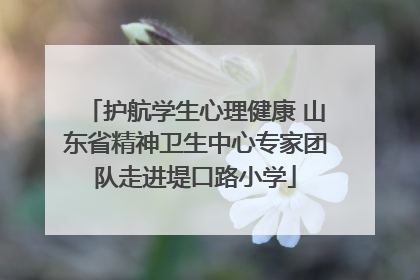 护航学生心理健康 山东省精神卫生中心专家团队走进堤口路小学