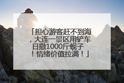 担心游客赶不到海，大连一景区用铲车日撒1000斤蚬子！情绪价值拉满！