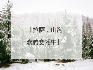拉萨：山沟欢腾赛牦牛