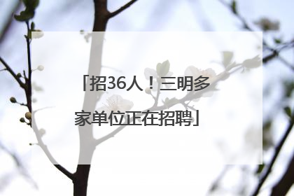招36人！三明多家单位正在招聘