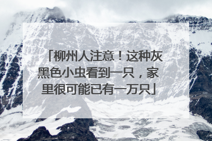 柳州人注意！这种灰黑色小虫看到一只，家里很可能已有一万只