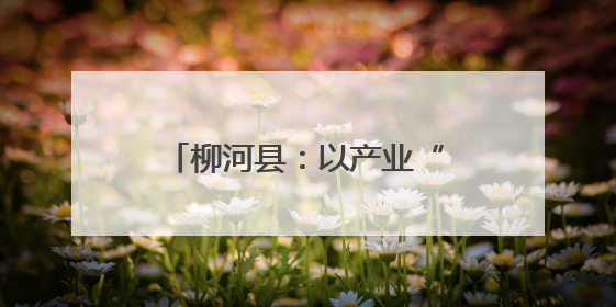 柳河县：以产业“旺”促乡村“兴”