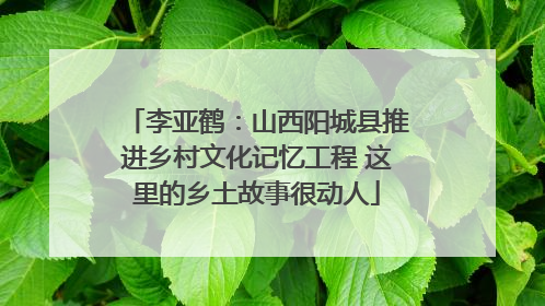 李亚鹤：山西阳城县推进乡村文化记忆工程 这里的乡土故事很动人