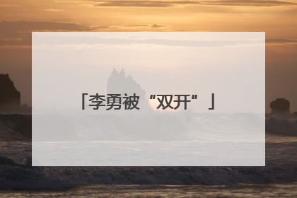 李勇被“双开”