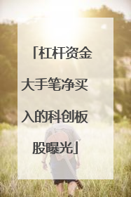 杠杆资金大手笔净买入的科创板股曝光