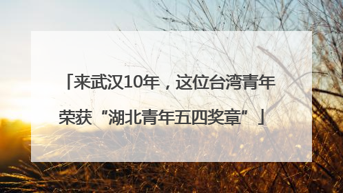 来武汉10年，这位台湾青年荣获“湖北青年五四奖章”