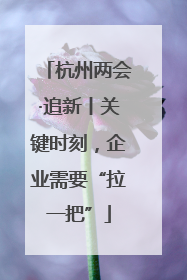 杭州两会·追新丨关键时刻，企业需要“拉一把”