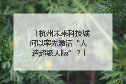杭州未来科技城何以率先激活“人造超级大脑”？