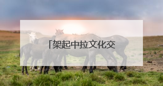 架起中拉文化交流的桥梁 “拉脱维亚艺术家蓉城采风行”落幕