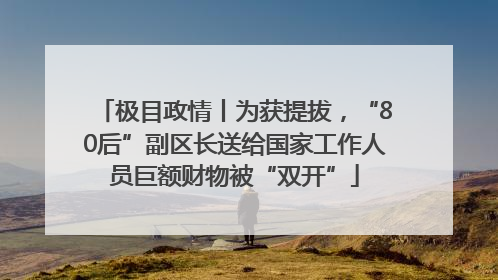 极目政情丨为获提拔，“80后”副区长送给国家工作人员巨额财物被“双开”