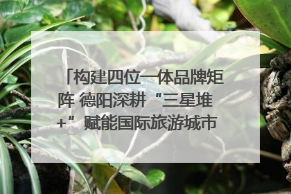 构建四位一体品牌矩阵 德阳深耕“三星堆+”赋能国际旅游城市建设｜文旅局长说