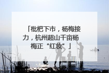 枇杷下市，杨梅接力，杭州超山千亩杨梅正“红妆”