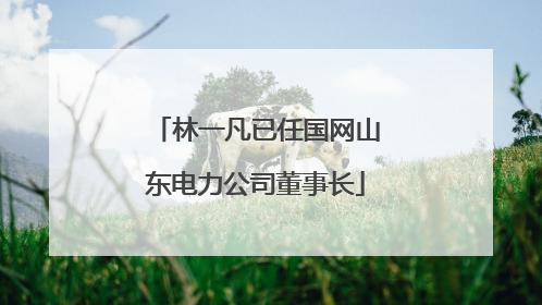 林一凡已任国网山东电力公司董事长