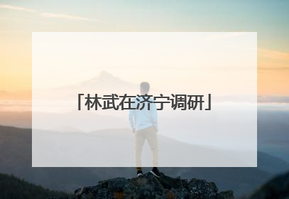 林武在济宁调研