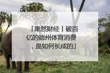 果然财经丨破百亿的德州体育消费，是如何长成的