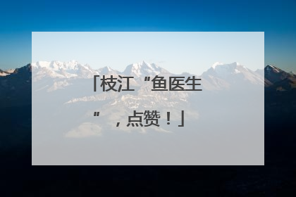 枝江“鱼医生”，点赞！