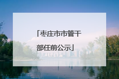 枣庄市市管干部任前公示