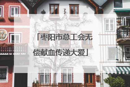 枣阳市总工会无偿献血传递大爱