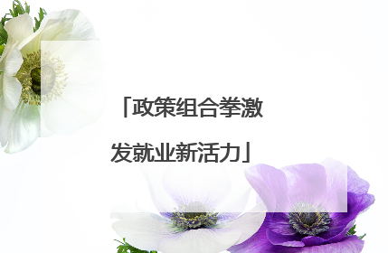 政策组合拳激发就业新活力