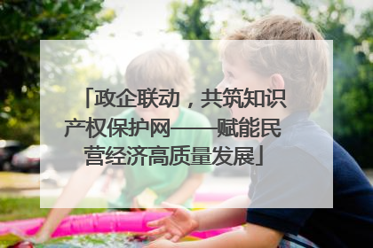 政企联动，共筑知识产权保护网——赋能民营经济高质量发展