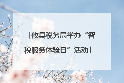 攸县税务局举办“智税服务体验日”活动