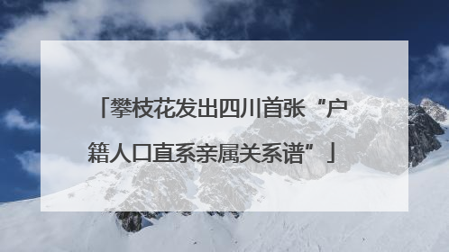 攀枝花发出四川首张“户籍人口直系亲属关系谱”