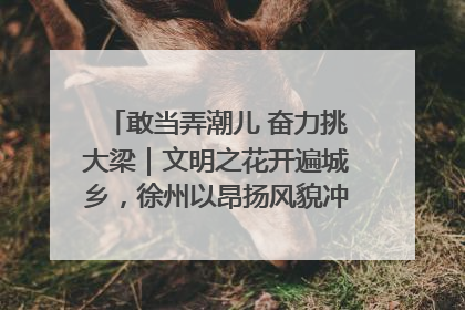 敢当弄潮儿 奋力挑大梁｜文明之花开遍城乡，徐州以昂扬风貌冲刺“万亿之城”