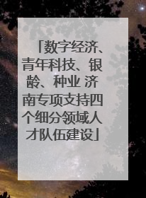 数字经济、青年科技、银龄、种业 济南专项支持四个细分领域人才队伍建设