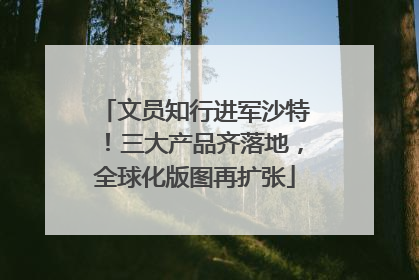 文员知行进军沙特！三大产品齐落地，全球化版图再扩张