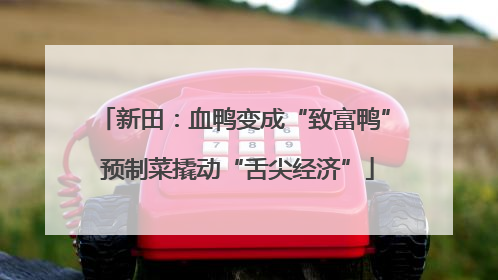新田：血鸭变成“致富鸭” 预制菜撬动“舌尖经济”