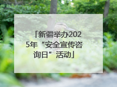 新疆举办2025年“安全宣传咨询日”活动