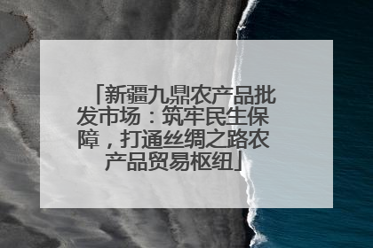 新疆九鼎农产品批发市场：筑牢民生保障，打通丝绸之路农产品贸易枢纽