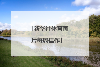 新华社体育图片每周佳作