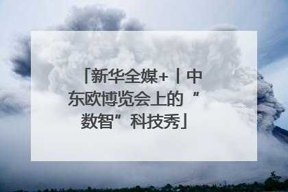 新华全媒+丨中东欧博览会上的“数智”科技秀