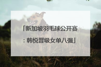 新加坡羽毛球公开赛：韩悦晋级女单八强