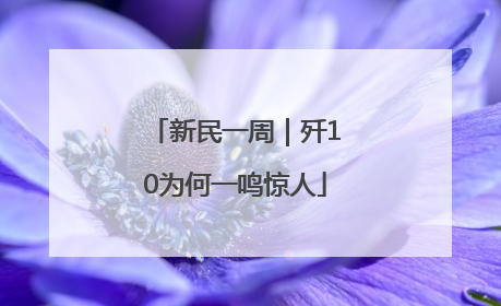 新民一周｜歼10为何一鸣惊人
