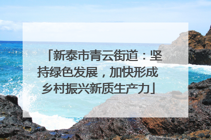 新泰市青云街道：坚持绿色发展，加快形成乡村振兴新质生产力